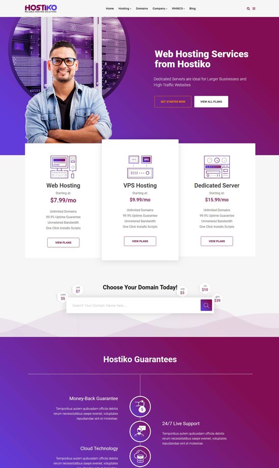 hostiko wordpress whmcs 托管主题