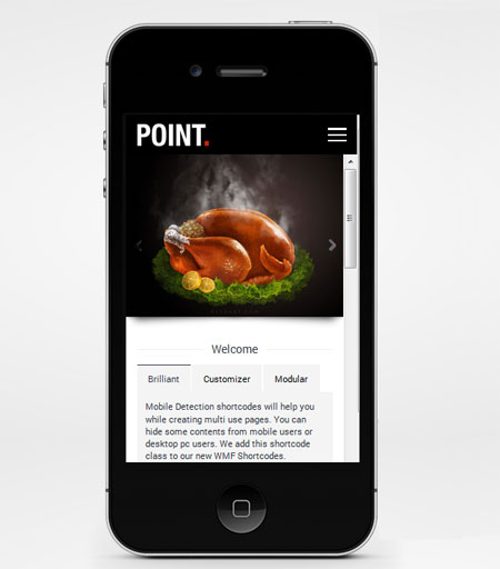 Point-Premium-Modern-Mobile-Theme