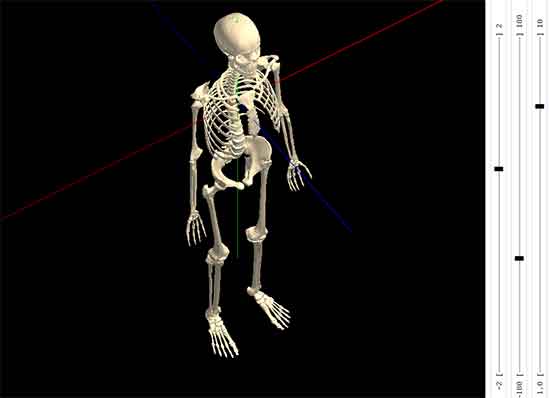 Interactive-3D-Skeleton html5 animation