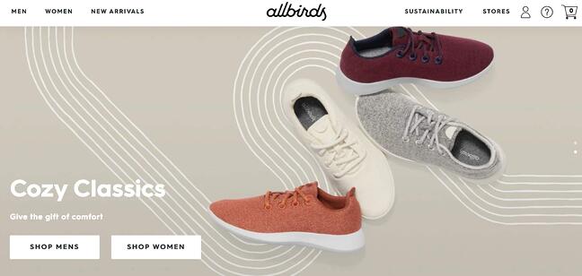 STP 마케팅 예시: AllBirds