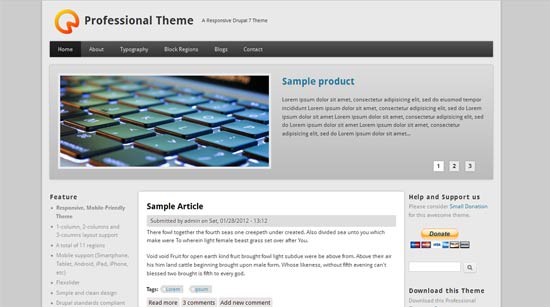 professional-free-drupal-theme