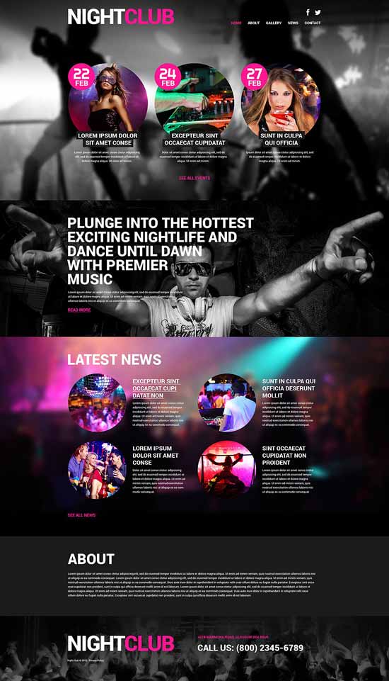 Night-Club-Euphoria-WordPress-Theme