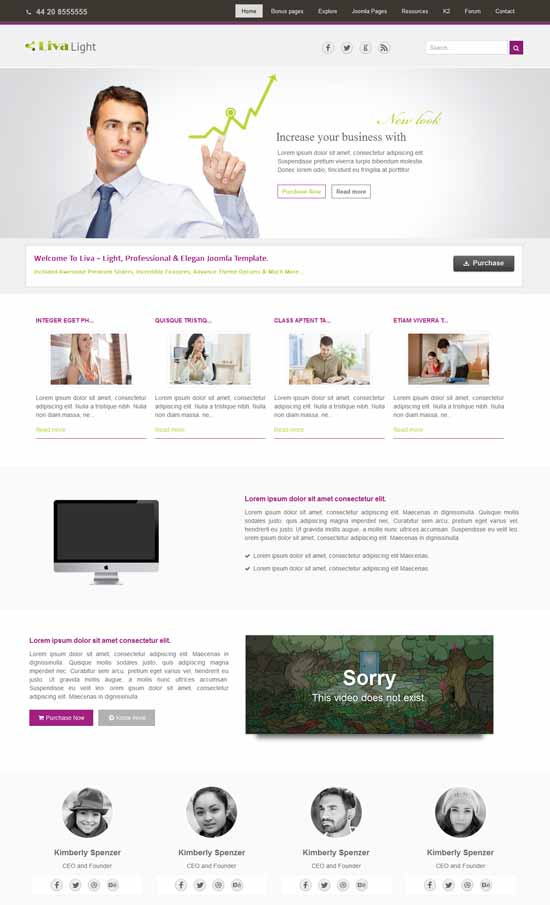 Livalight-Responsive-Consulting-Șablon-Joomla