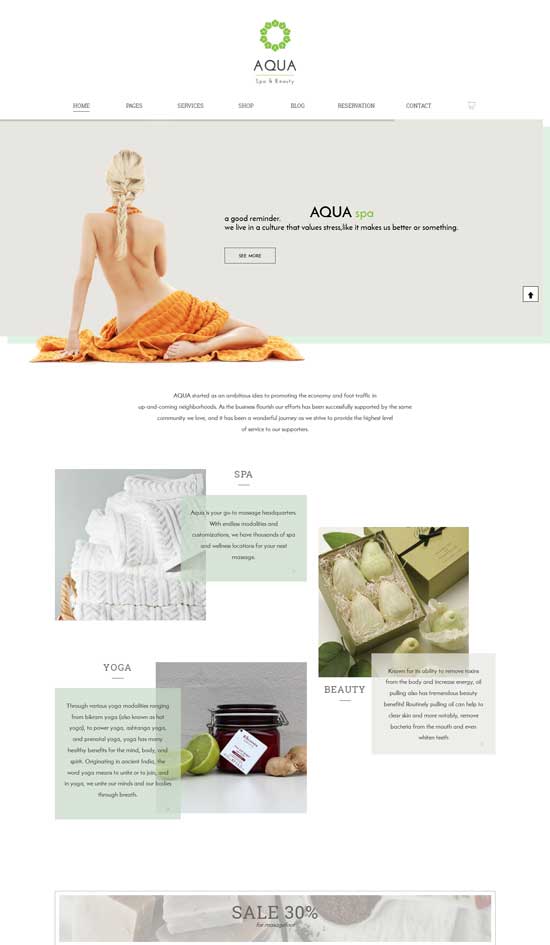 Aqua-Spa-Beauty-WooCommerce-テーマ