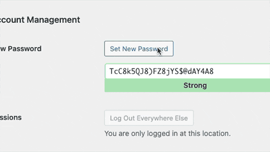 Generating strong passwords in WordPress