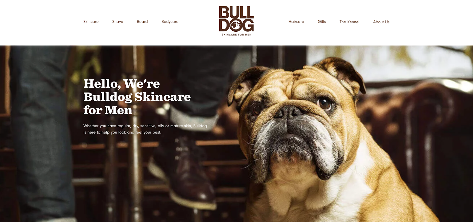 Despre noi Exemple de pagini: Bulldog Skincare