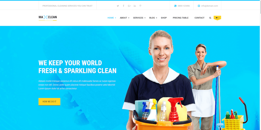 Max Cleaners