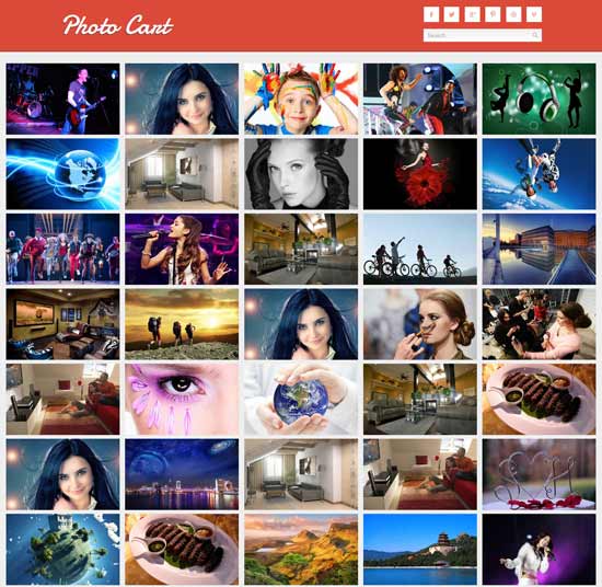 Photo-Cart-Free-Photo-Gallery-เว็บไซต์-Template