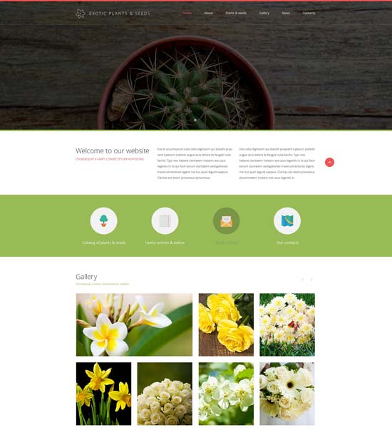 eksotik-tanaman-situs web-templat
