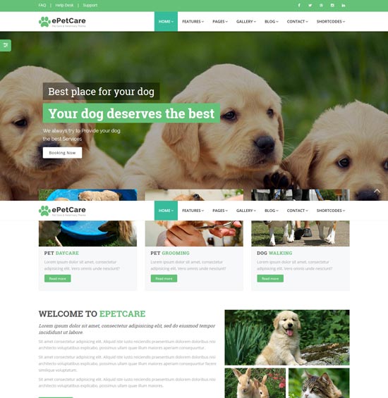 epetcare寵物護理html5模板