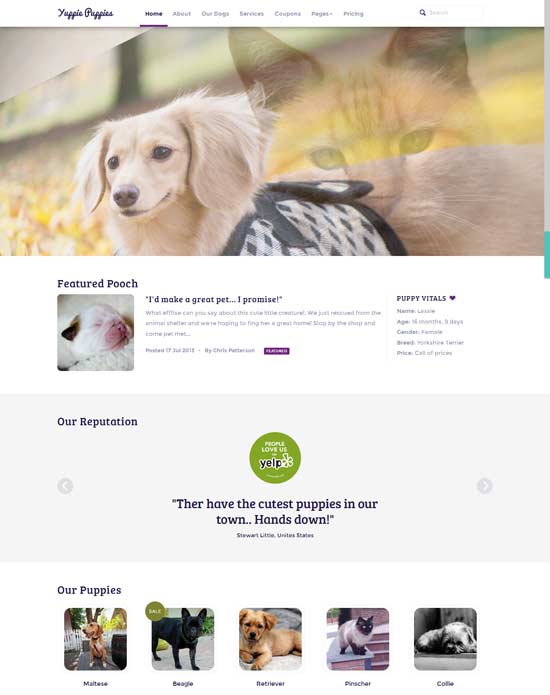 PetshopResponsive-Pet-Friendly-Theme