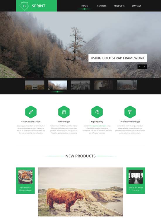 Sprint-Free-Responsive-หน้าเดียว-Template