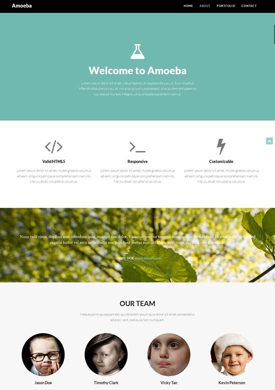 Amoeba-Free-one-page-bootstrap-template