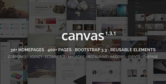 Canvas-best-website-template-2015