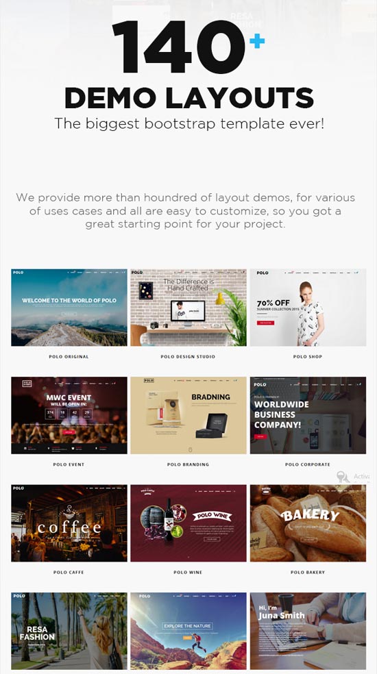 polo-best-website-template-2016