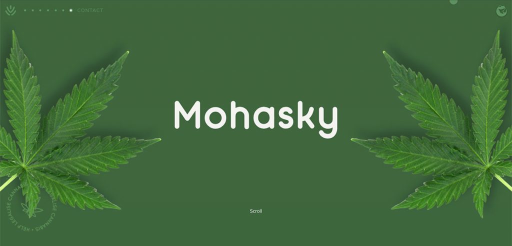 Mohasky