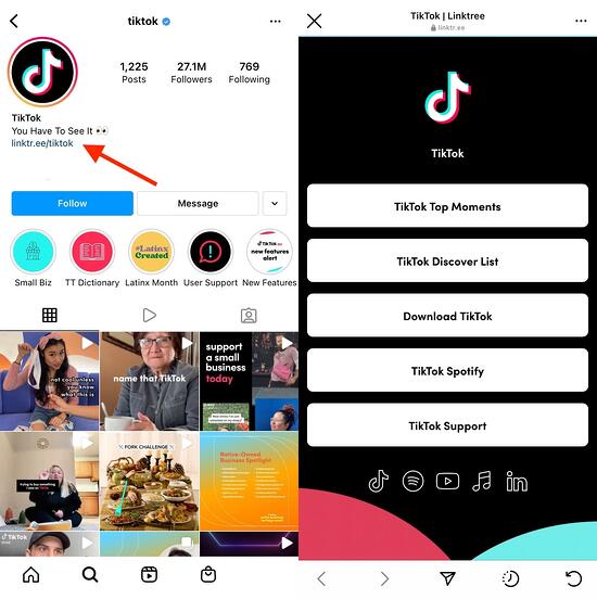 مثال على Instagram Linktree: tiktok