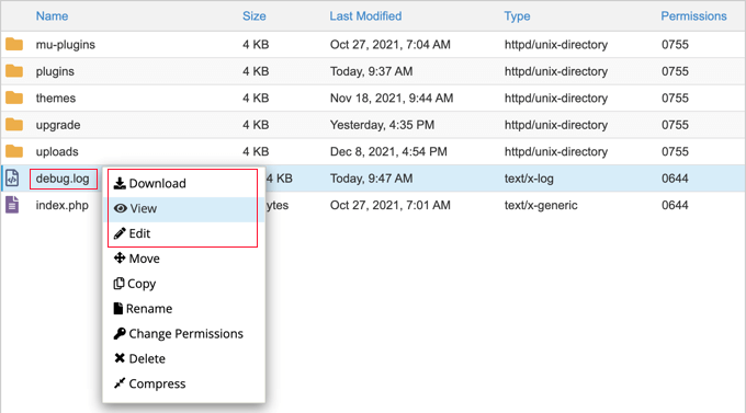 Download, View, or Edit the debug.log File