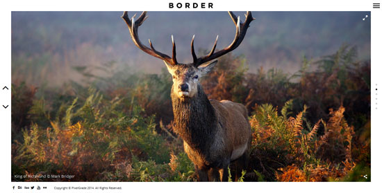 BORDER-Delightful-Photography-WordPress-Tema