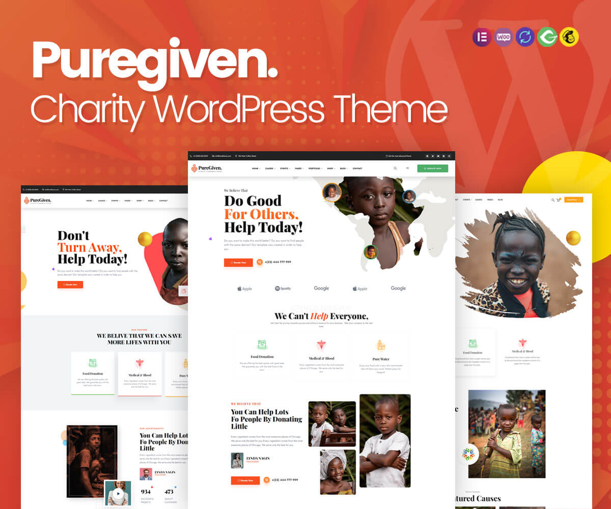 tema de WordPress de caridad de puregiven