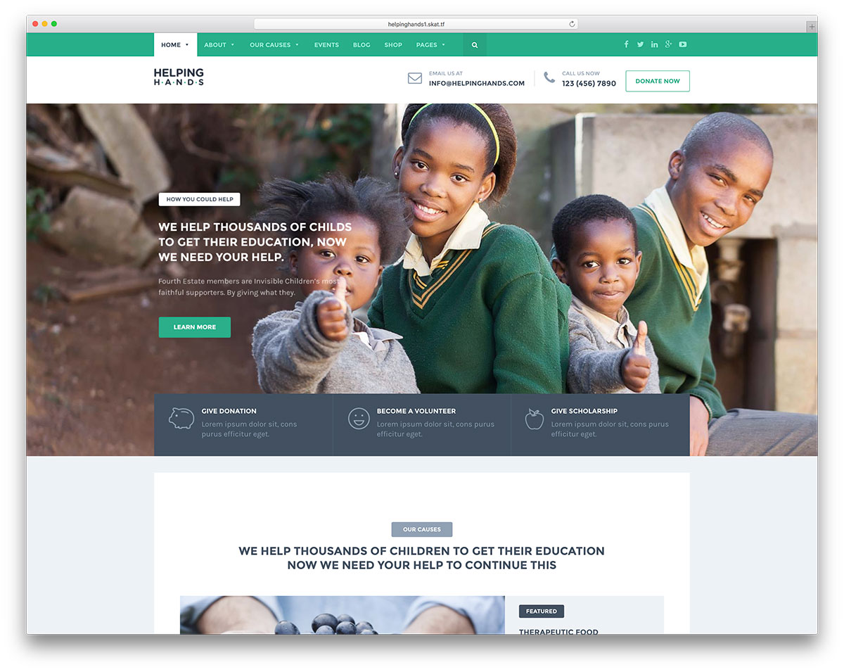 Helpinghands-Classic-Charity-Wordpress-Website-Template