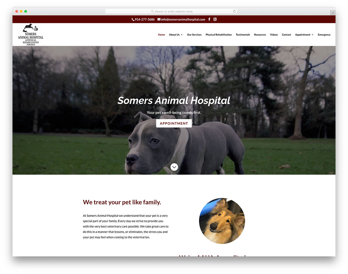 Hospital de animales de Somers