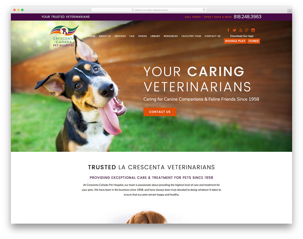 Cresenta Canada Pet Hospital