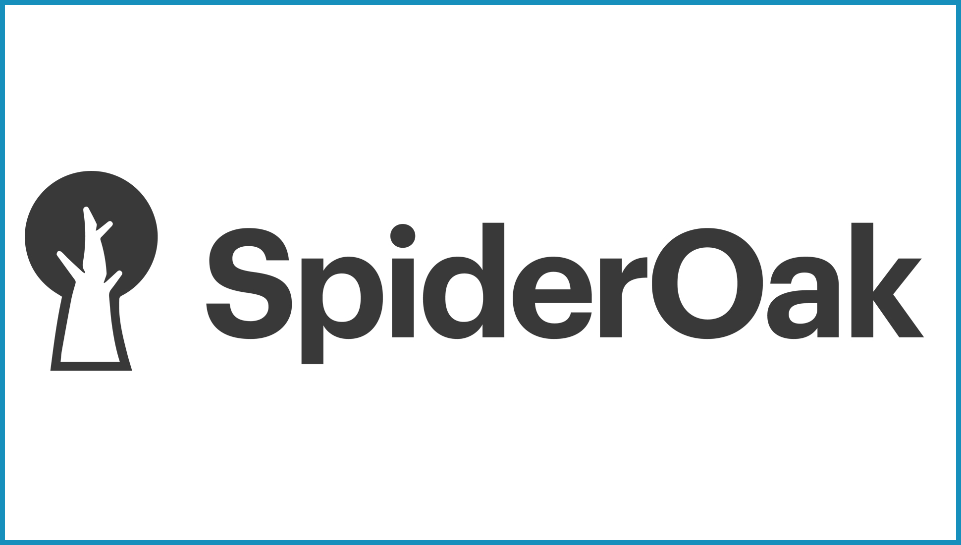 Logo SpiderOak