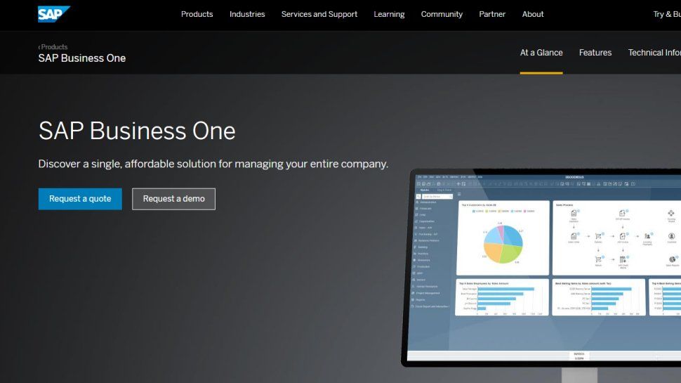 SAP Business One