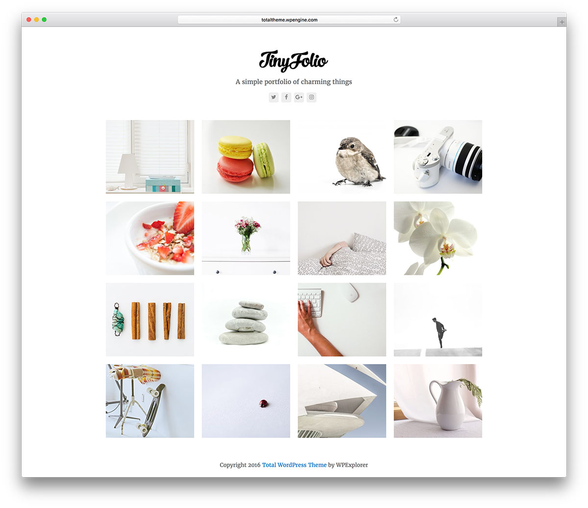 tema-portfólio-total-limpo-wordpress