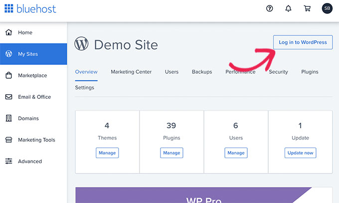 Login to your WordPress dashboard