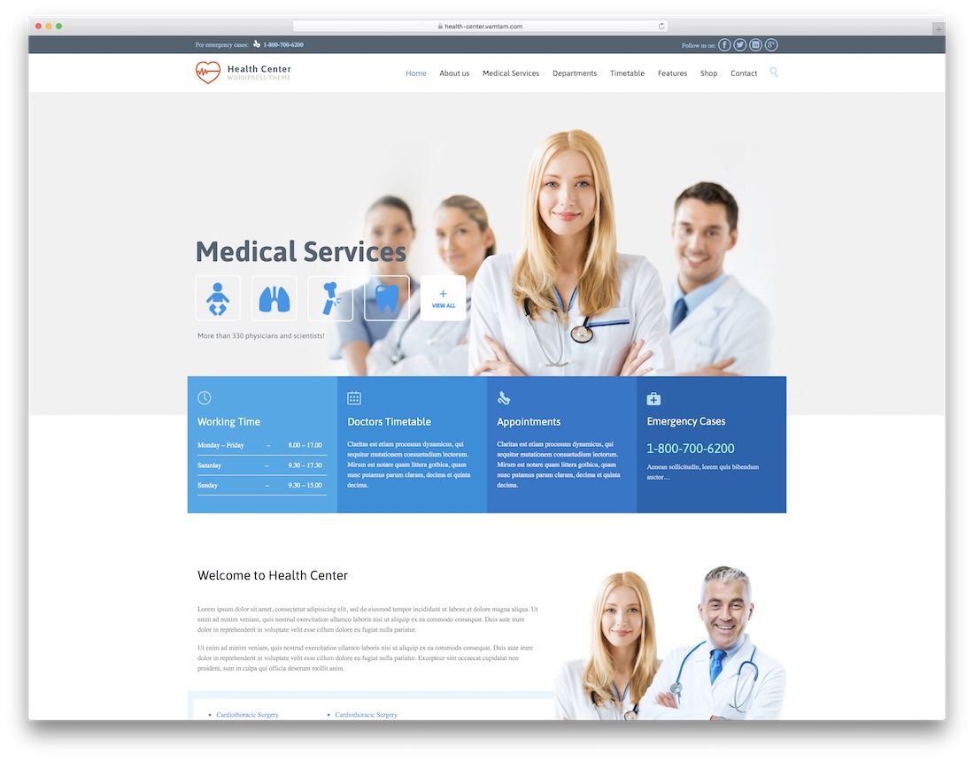 tema wordpress chiropractor fisioterapi pusat kesehatan