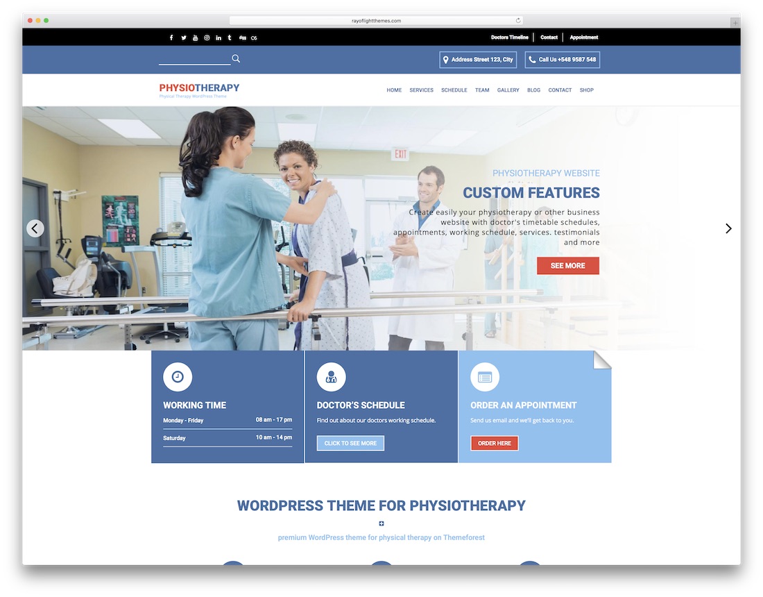 tema wordpress chiropractor fisioterapi responsif