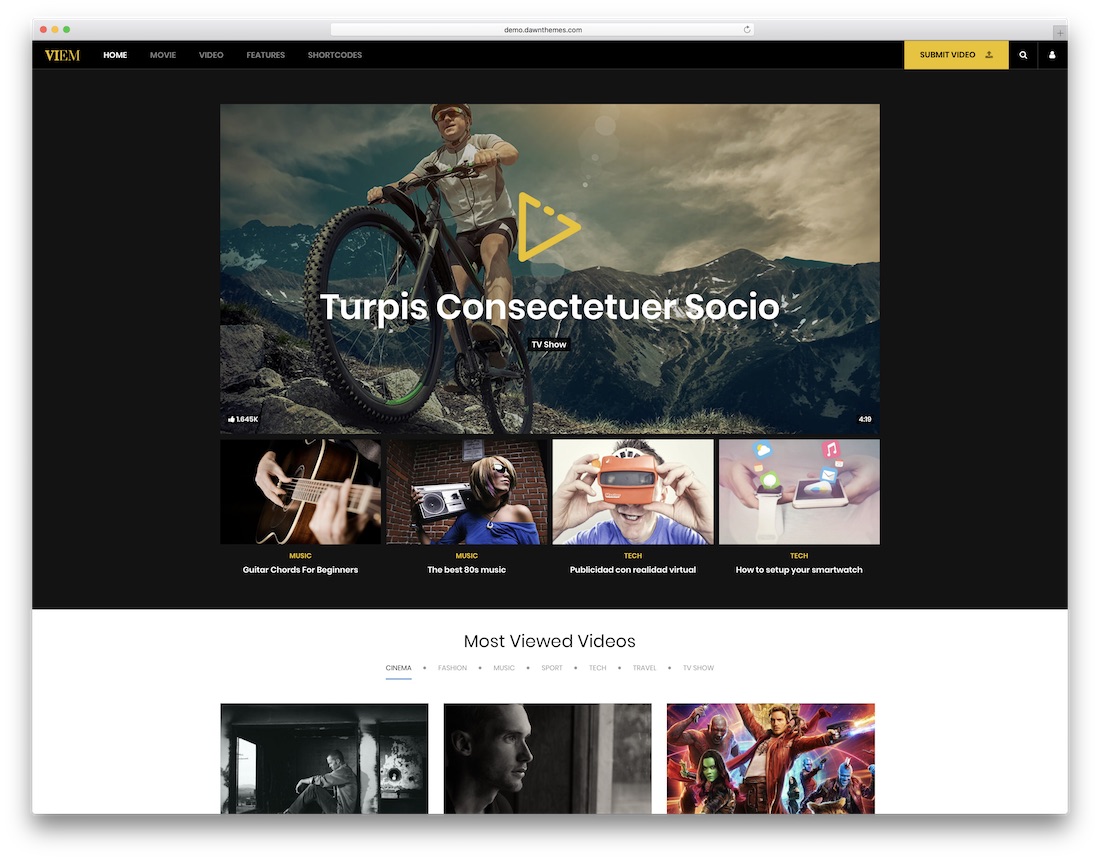 tema video viem wordpress