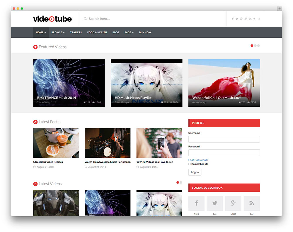 videtube WirdPress template