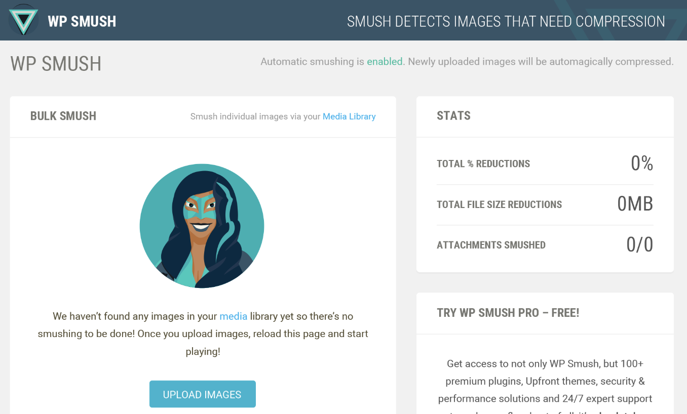 melhores plugins wordpress para profissionais de marketing: smush