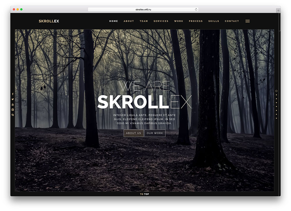 Skrollex-parallax-html5-bootstrap-plantilla