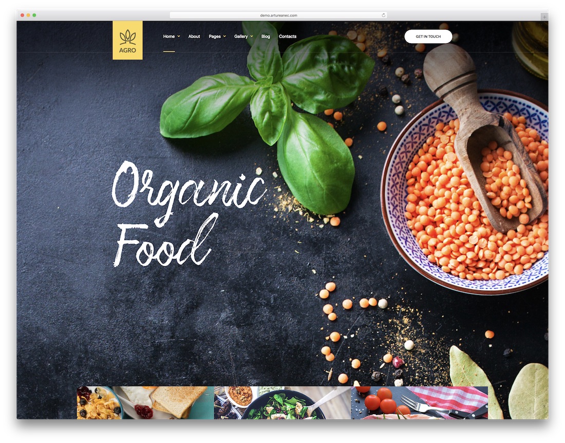 modelo de site agroalimentar