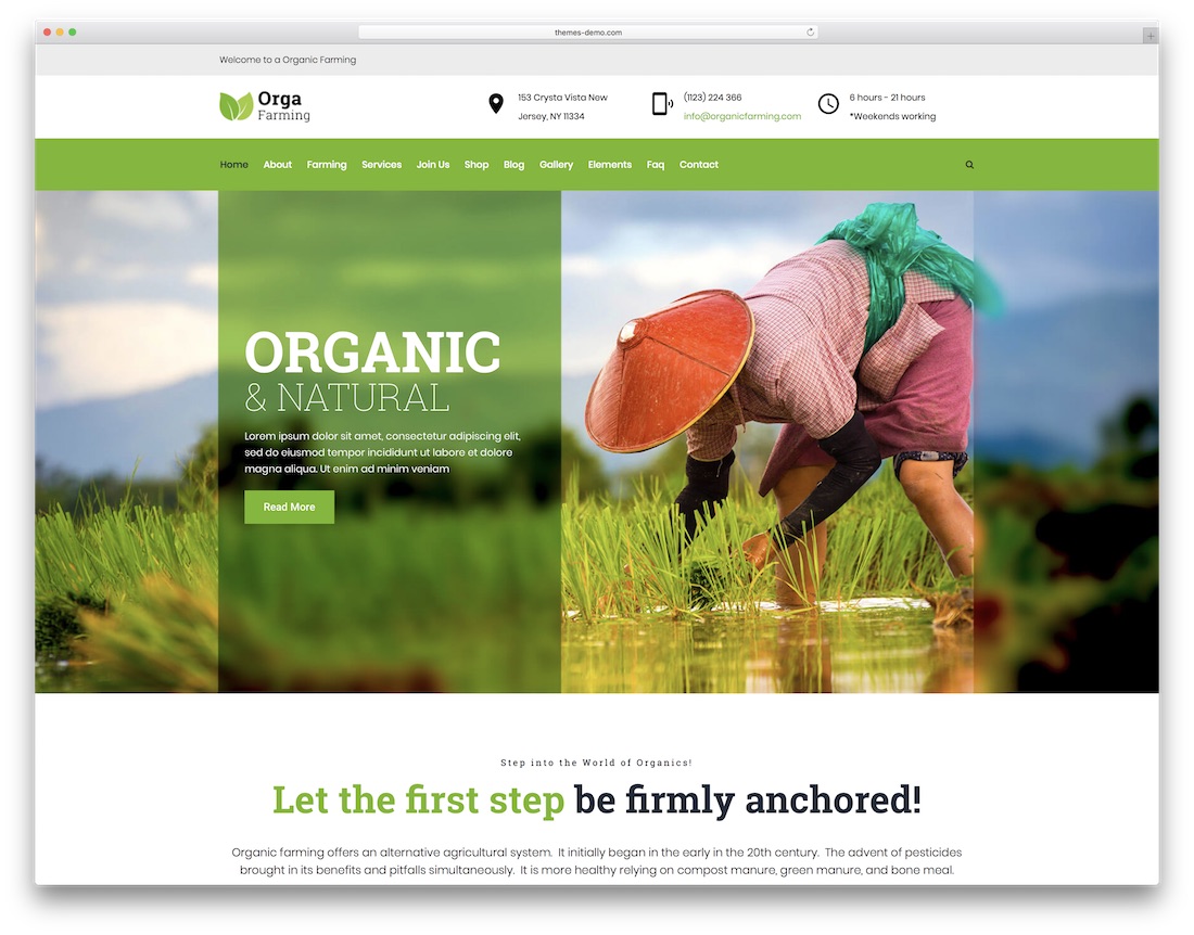 Тема WordPress для фермы Orga Farm