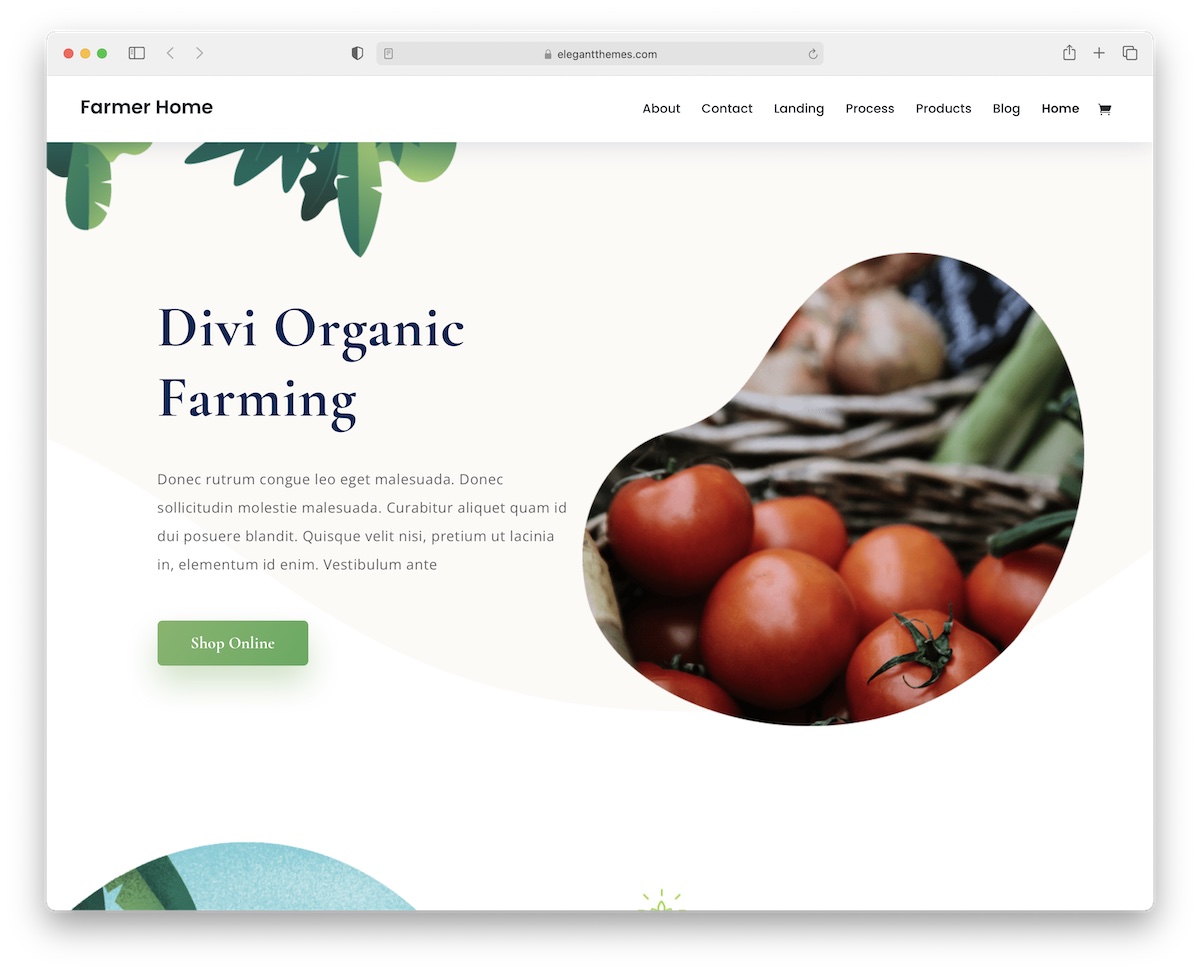 tema wordpress divi farming