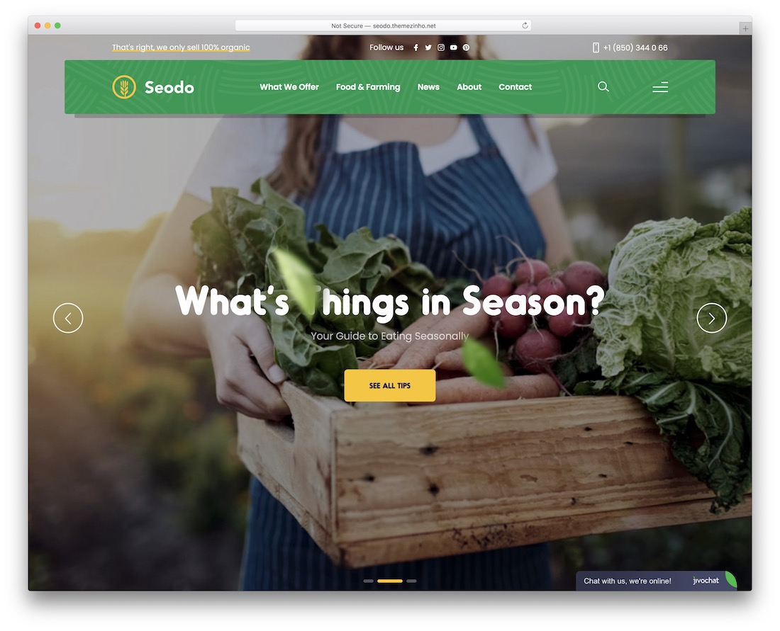 tema wordpress agricultura seodo