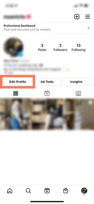 cara menggunakan wawasan instagram: edit profil