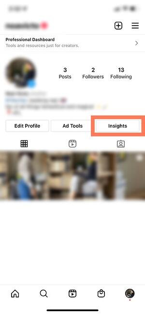 cara menggunakan wawasan instagram: profil profesional