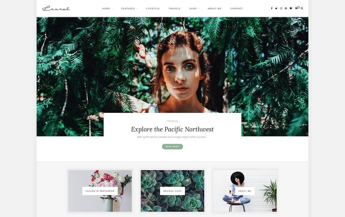 laurel wordpress motyw instagram