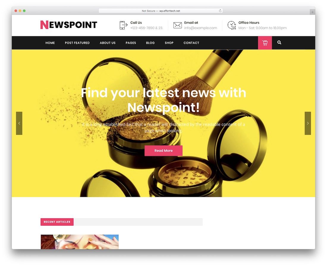 tema instagram wordpress di newspoint