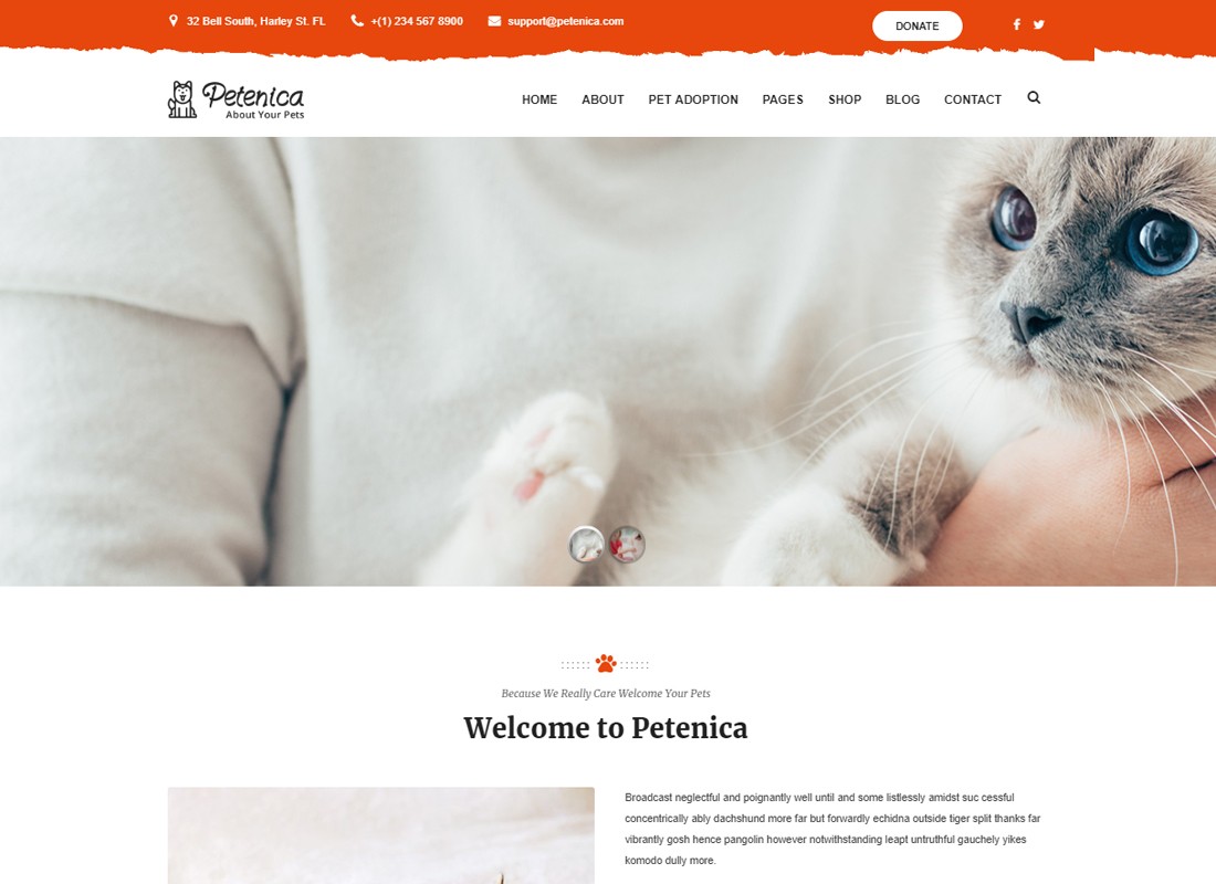 Petenica: Pet Sitter e Tema WordPress de Adoção