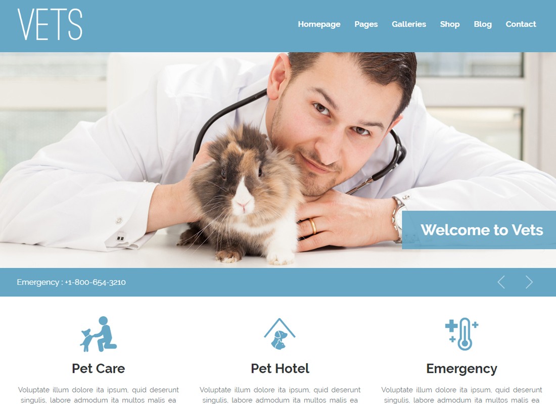 VETS - Clínica Médica Veterinária WP Theme