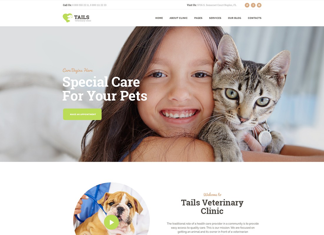 Caudas | Tema WordPress para Clínica Veterinária, Pet Care & Shop