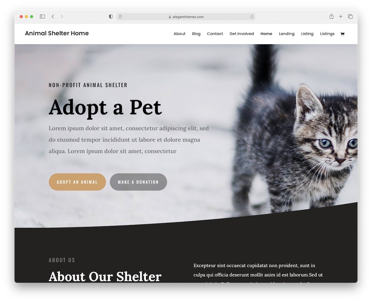 thème wordpress animaux Divi