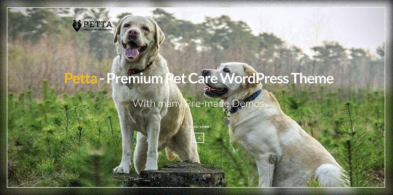 Petta - Thème WordPress Premium Pet Care